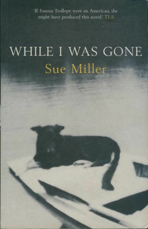 Livrenpoche : While i was gone - Sue Miller - Livre