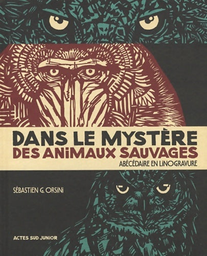 Dans le mystère des animaux sauvages - Sébastien Orsini - Livre