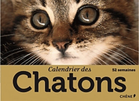 Livrenpoche : Calendrier des chatons - Collectif - Livre