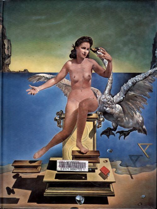 Livrenpoche : Dali Tome II - Robert Descharnes - Livre