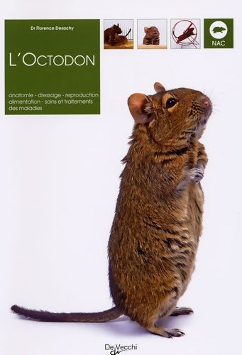 Livrenpoche : L'octodon : Anatomie dressage reproduction alimentation soins et traitements des maladies - Florence Desachy - Livre