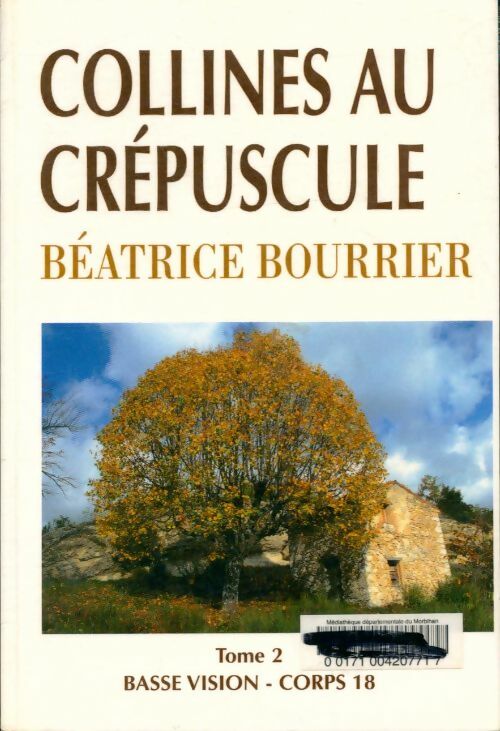 Collines au crépuscule Tome II - Béatrice Bourrier - Livre