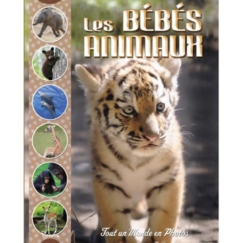 Livrenpoche : Les bébés animaux - Collectif - Livre