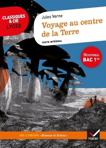 Livrenpoche : Voyage au centre de la terre - Jules Verne - Livre