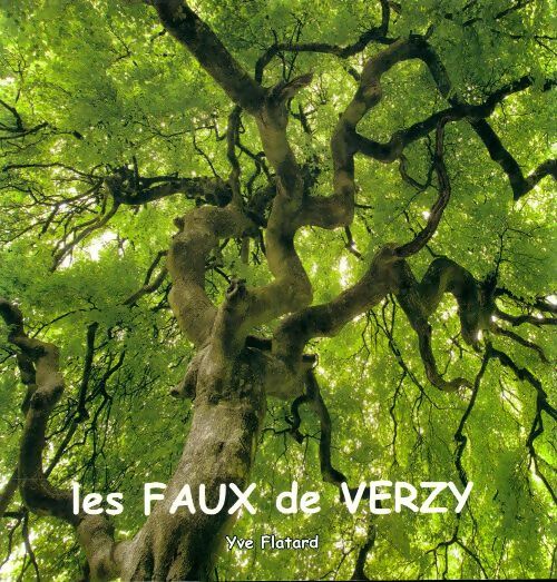 Livrenpoche : Les faux de Verzy - Yve Flatard - Livre