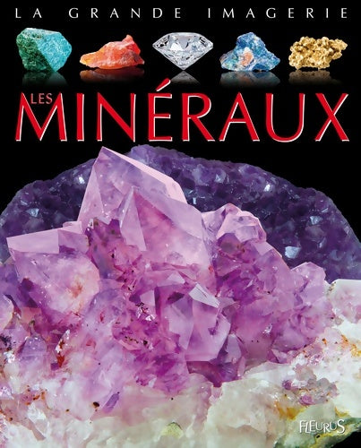 Livrenpoche : Les minéraux - Philippe Simon - Livre