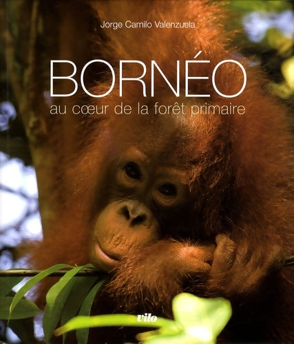 Livrenpoche : Bornéo : Au coeur de la forêt primaire (1cd audio) - Jorge Ca Valenzuela - Livre