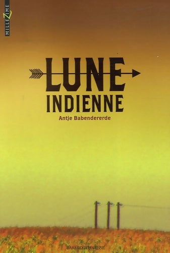 Livrenpoche : Lune indienne - Antje Babendererde - Livre