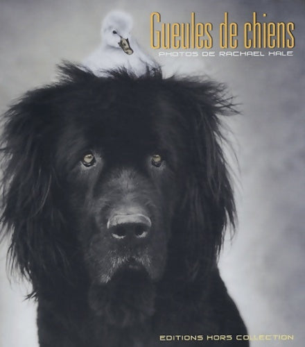 Livrenpoche : Gueules de chien - Rachael Hale - Livre