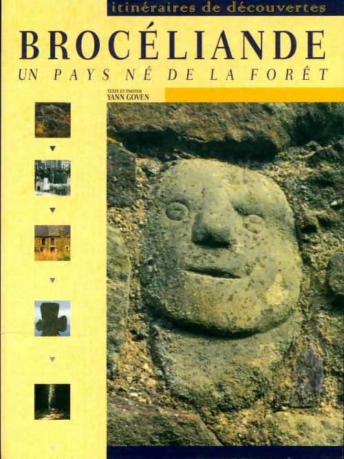 Livrenpoche : Brocéliande un pays né de la forêt - Yann Goven - Livre
