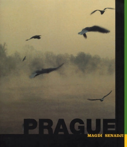 Livrenpoche : Prague - Bohumil Hrabal - Livre