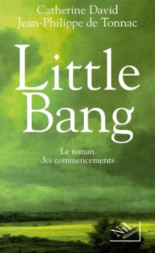 Livrenpoche : Little bang le roman des commencements - Catherine David - Livre