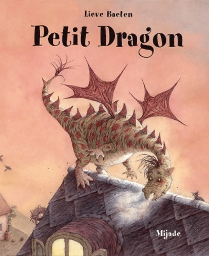 Livrenpoche : Petit dragon - Lieve Baeten - Livre