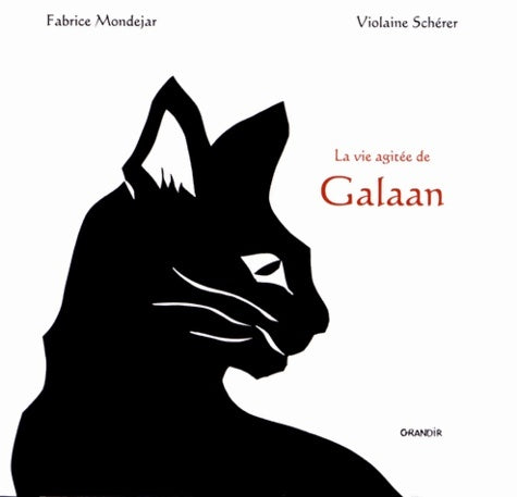 Livrenpoche : La vie agitée de galaan - Fabrice Mondejar - Livre