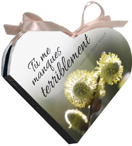 Livrenpoche : Terriblement tu me manques - Collectif - Livre