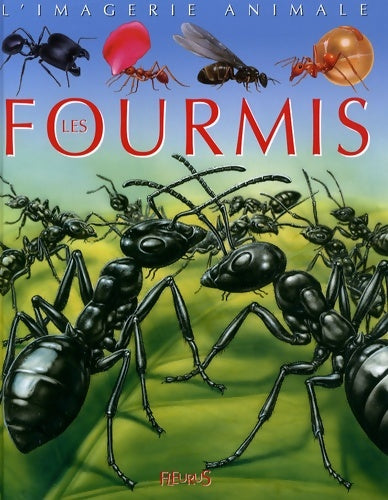 Livrenpoche : Les fourmis - Emilie Beaumont - Livre
