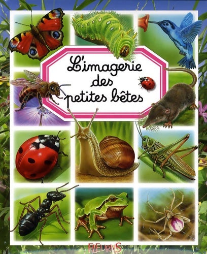 Livrenpoche : L'imagerie des petites bêtes - Marie-christine Lemayeur - Livre