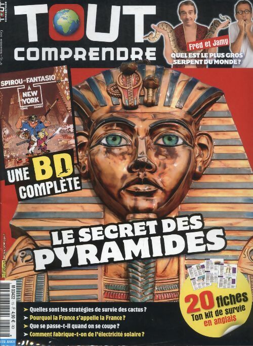 Livrenpoche : Tout comprendre n°15 : Le secret des pyramides - Collectif - Livre