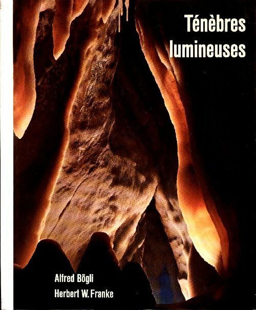 Livrenpoche : Ténèbres lumineuses - Alfred Bögli - Livre