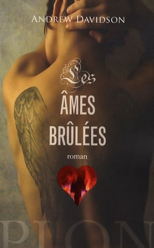 Livrenpoche : Ames brulees - Andrew Davidson - Livre