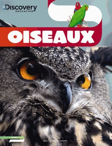Livrenpoche : Oiseaux - Lesley Mcfadzean - Livre