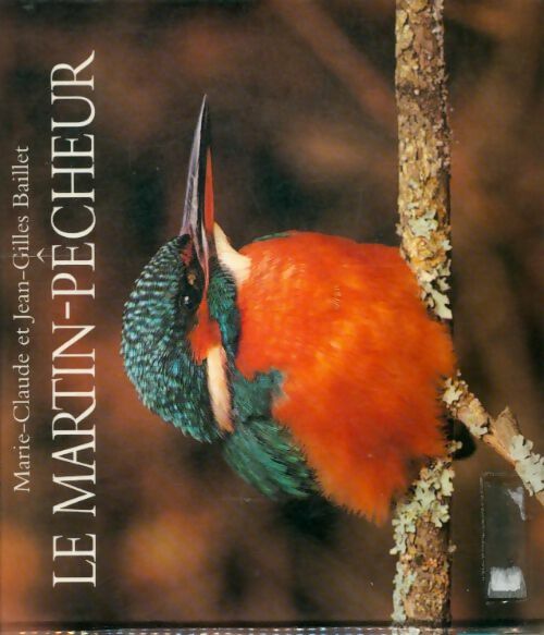Livrenpoche : Martin pêcheur - Jean-gilles Baillet - Livre