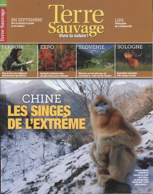 Livrenpoche : Terre sauvage n°275 : Chine, les singes de l'extrême - Collectif - Livre