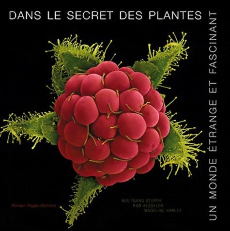 Dans le secret des plantes. Un monde étrange et fascinant - Wolfgang Stuppy - Livre