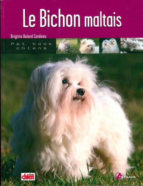 Livrenpoche : Le bichon maltais - Collectif - Livre