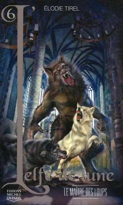 Livrenpoche : L'elfe de lune Tome VI : Le maître des loups - Élodie Tirel - Livre