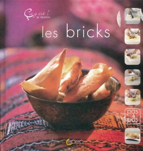 Livrenpoche : Les bricks - ca y est ! Je réussis - Ghizlane Tijani-Fabing - Livre