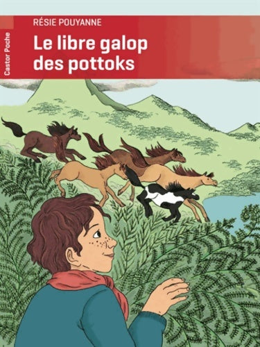 Livrenpoche : Le libre galop des pottoks - Résie Pouyanne - Livre