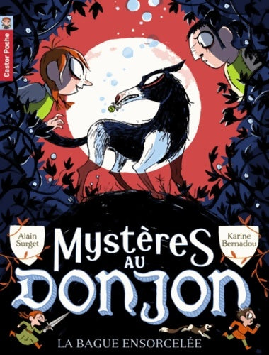Livrenpoche : Mystères au donjon : La bague ensorcelée - Alain Surget - Livre