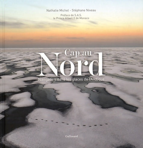 Livrenpoche : CAP au nord : Navigation dans les glaces de l'arctique - Nathalie Michel - Livre