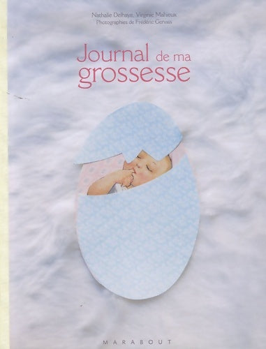 Livrenpoche : Le journal de ma grossesse - Virginie Mahieux - Livre