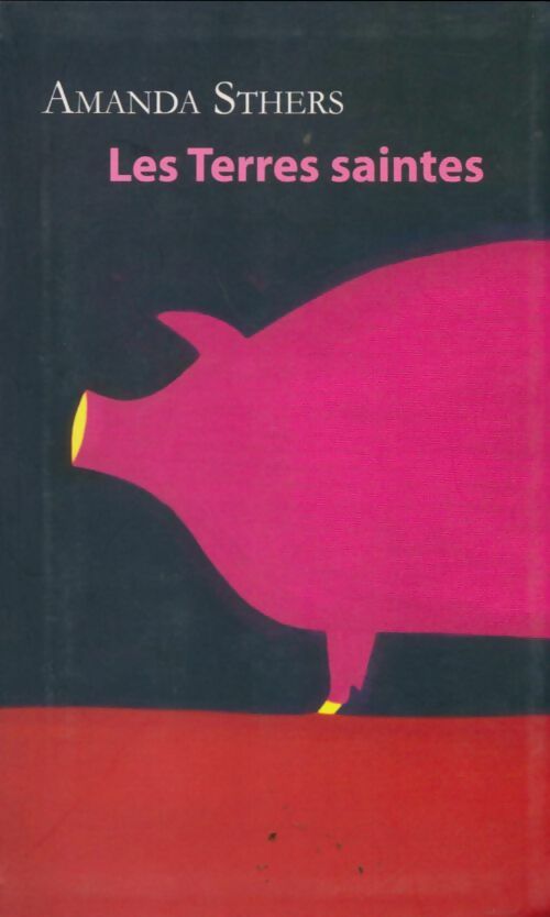 Livrenpoche : Les terres saintes - Amanda Sthers - Livre