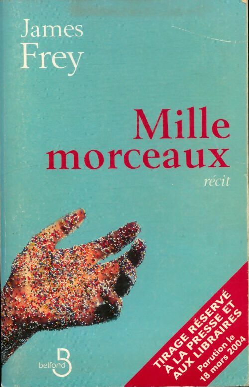 Livrenpoche : Mille morceaux - James N. Frey - Livre