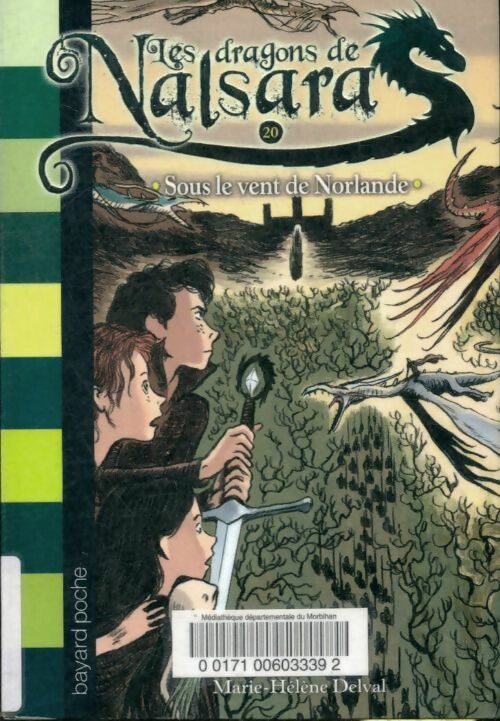 Livrenpoche : Les dragons de Nalsara Tome XX : Sous le vent de norlande - Alban Marilleau - Livre