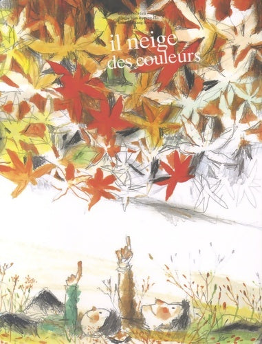 Livrenpoche : Il neige des couleurs - Sang-Kwen Lee - Livre