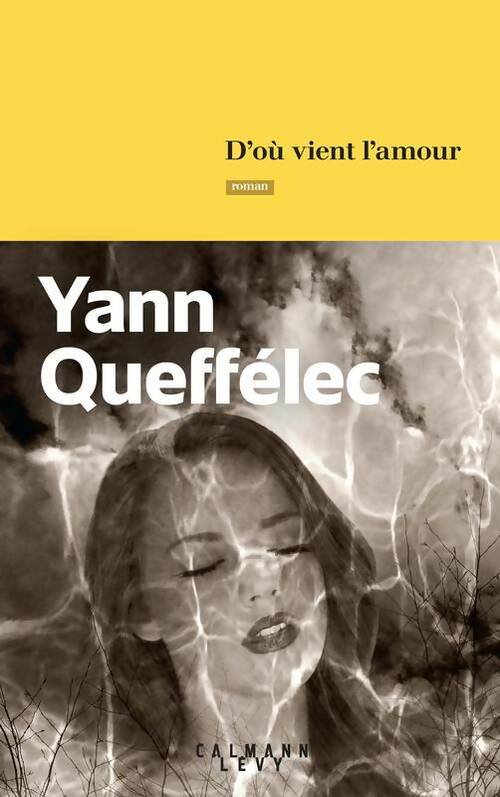 Livrenpoche : D'où vient l'amour - Yann Queffélec - Livre