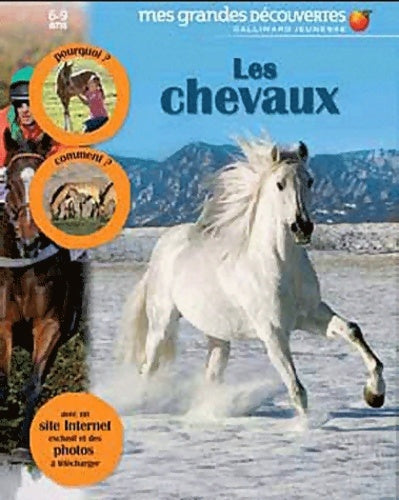 Livrenpoche : Les chevaux - Collectif - Livre
