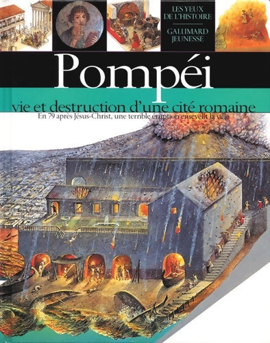 Livrenpoche : Pompéi : Vie et destruction d'une cité romaine - Christopher Rice - Livre