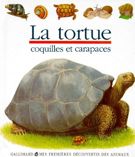 Livrenpoche : La tortue - Gilbert Houbre - Livre