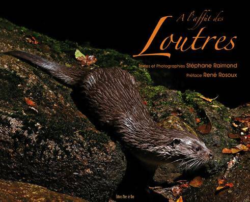 Livrenpoche : A l'affût des loutres - Stéphane Raimond - Livre