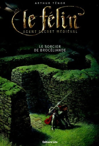 Livrenpoche : Le félin : Le sorcier de brocéliande - Arthur Ténor - Livre