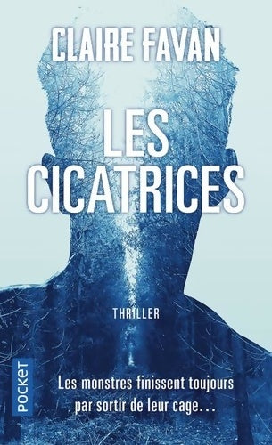 Livrenpoche : Les cicatrices - Claire Favan - Livre