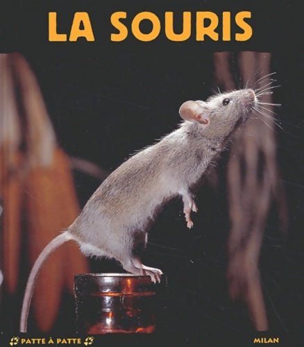 Livrenpoche : La souris - Stéphane Frattini - Livre