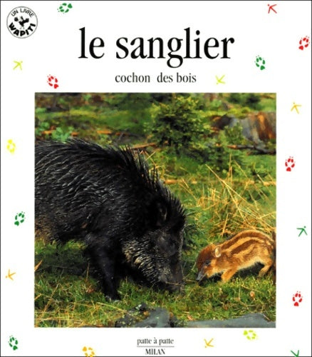 Livrenpoche : Le sanglier cochon des bois - Colibri - Livre