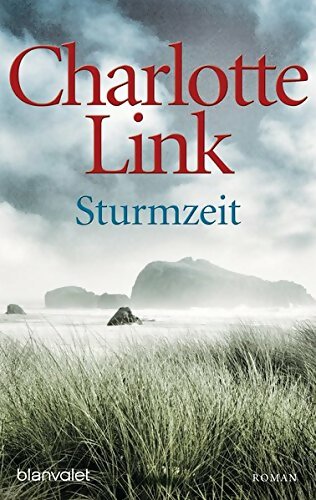 Livrenpoche : Sturmzeit - Charlotte Link - Livre