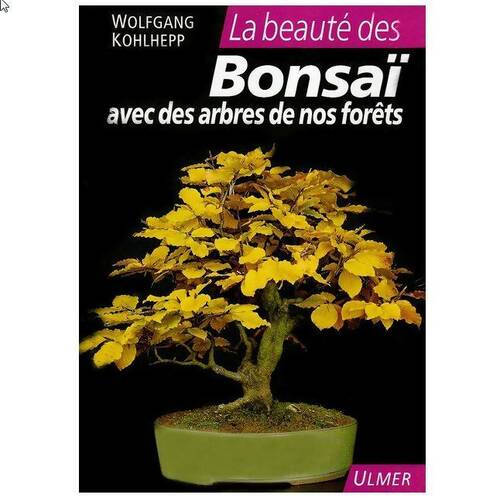 Livrenpoche : La beauté des bonsaï : Avec des arbres de nos forêts - Wolfgang Kohlhepp - Livre
